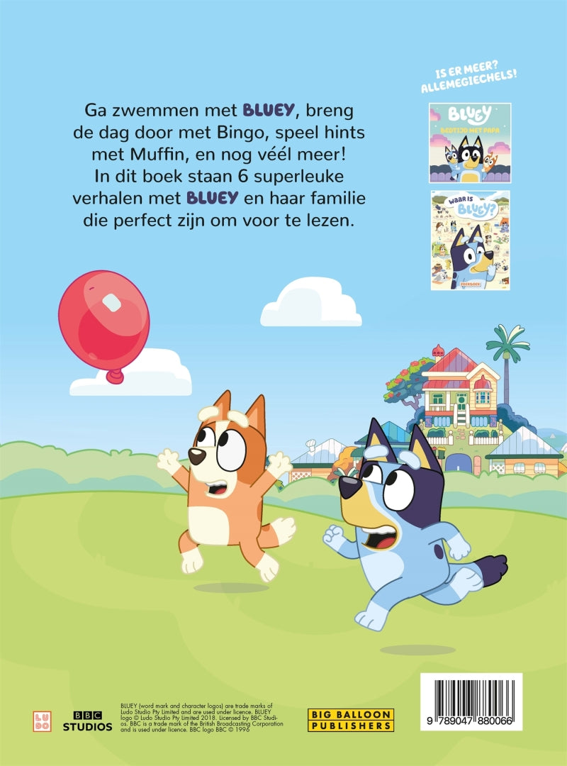 Großer Ballon, blaues, doppelt dickes Bilderbuch