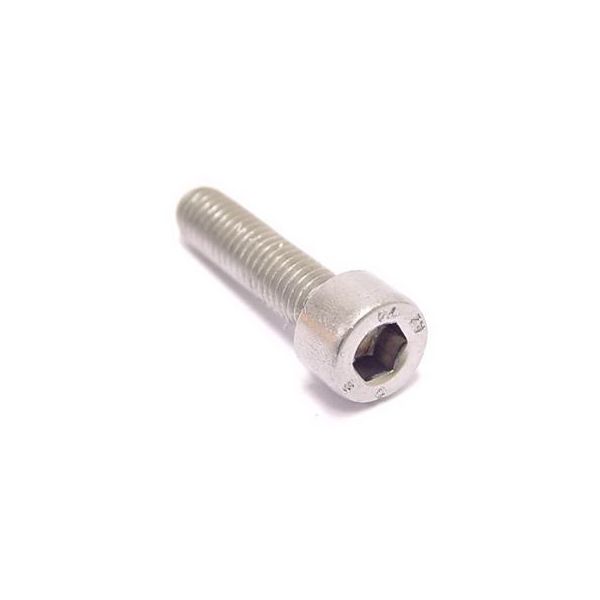 Bofix Allenbout M5 x 30 Edelstahl (25 Teile)