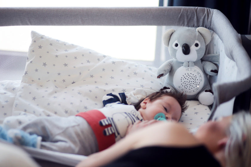 Chipolino Plüsch Babyprojektor kuschely Kaninchen mit Musiklicht