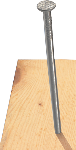 Connex-Nagel, flacher Kopf, 2,8 x 65, 2,5 kg fe – dh1012865