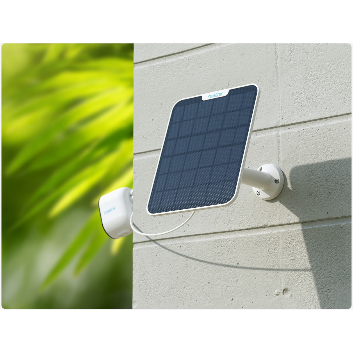 Reolink Solarpanel kompatibel mit Akku-Kamera – Gurt und 4 m Verbindungskabel – 6 W Leistung – wetterfest – Solarpanel 2