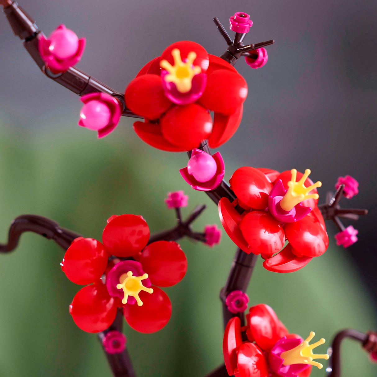 Lego Botanicals 10369 Japanische Aprikose
