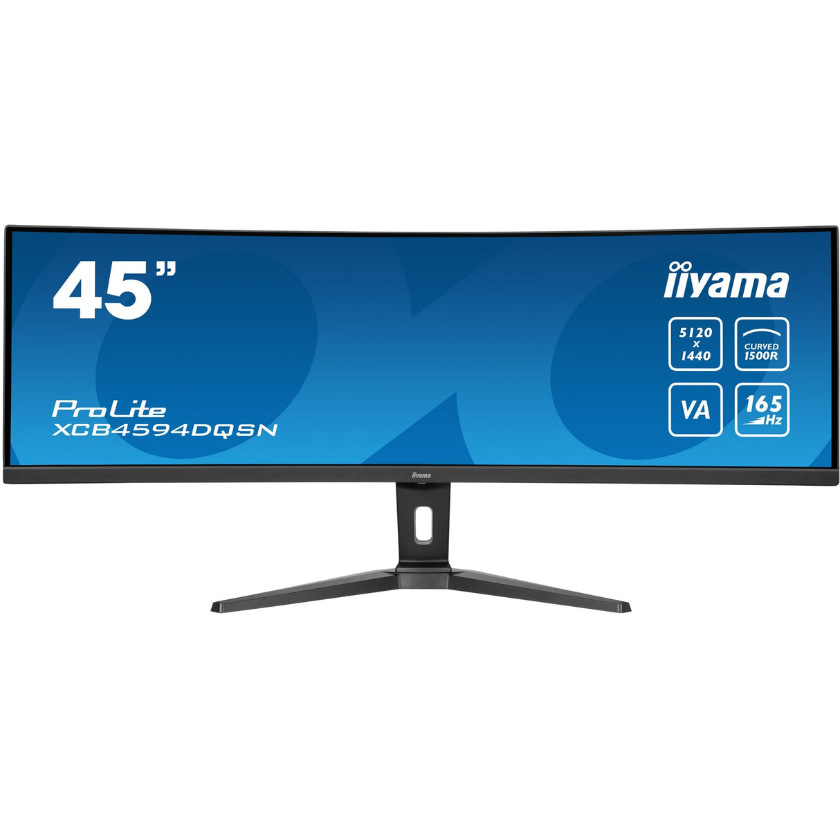 Iiyama Prolite
