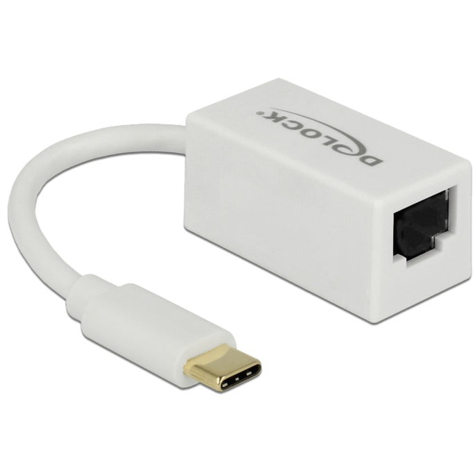 Delock Superspeed USB-C (USB 3.1 Gen 1) Stecker > Gigabit LAN 10 100 1000 Mbit/s Kompaktadapter (weiß, 0,135 Meter)