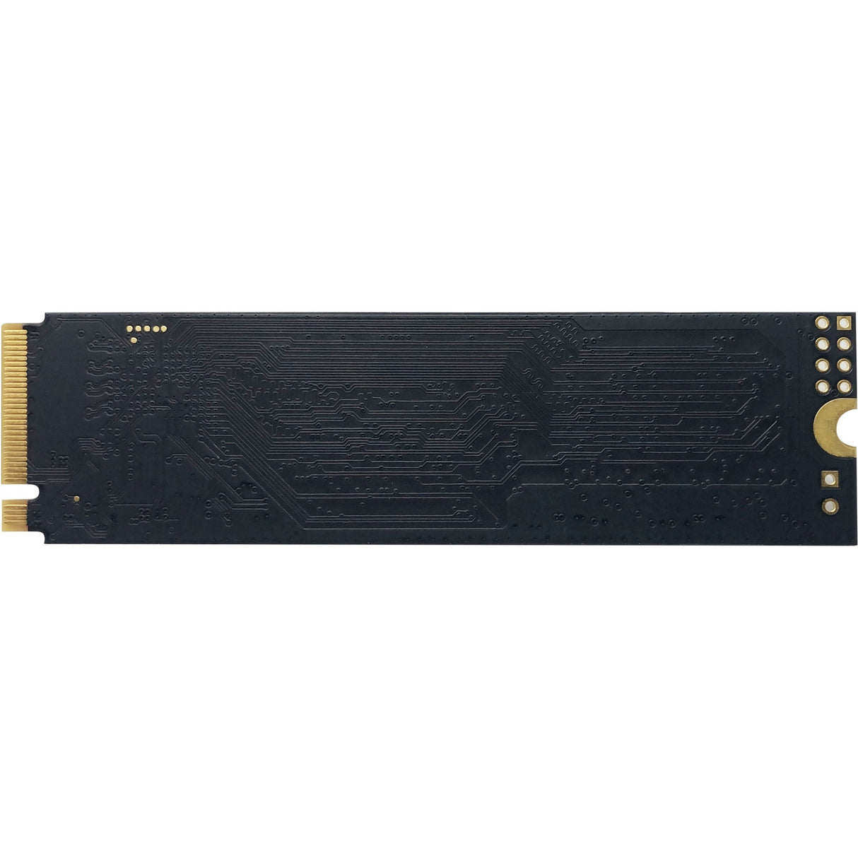 Patriot P300 128 GB