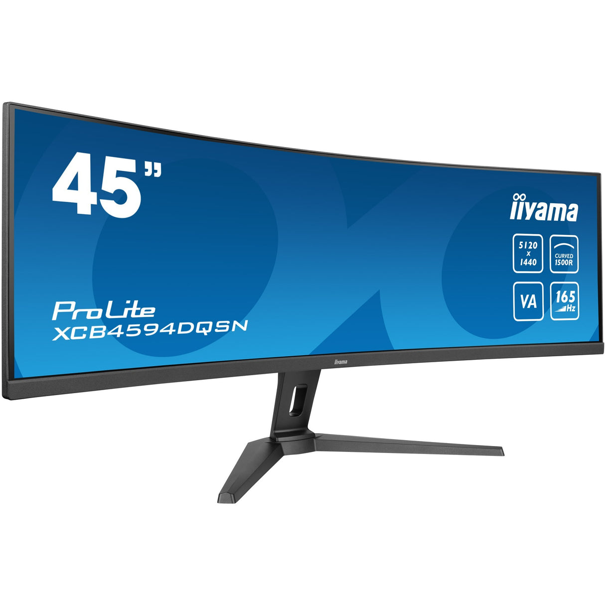 Iiyama Prolite