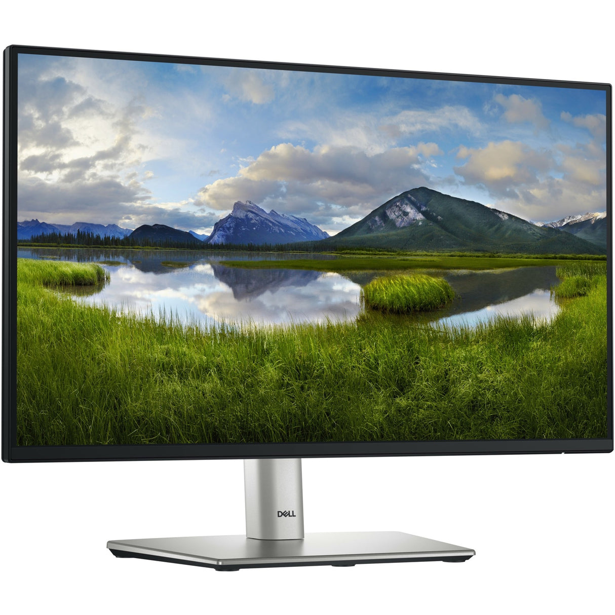 Dell p2225h 21,5 Monitor (Schwarz Silber, HDMI, Display Port, 3x USB-A, USB-B, USB-C)
