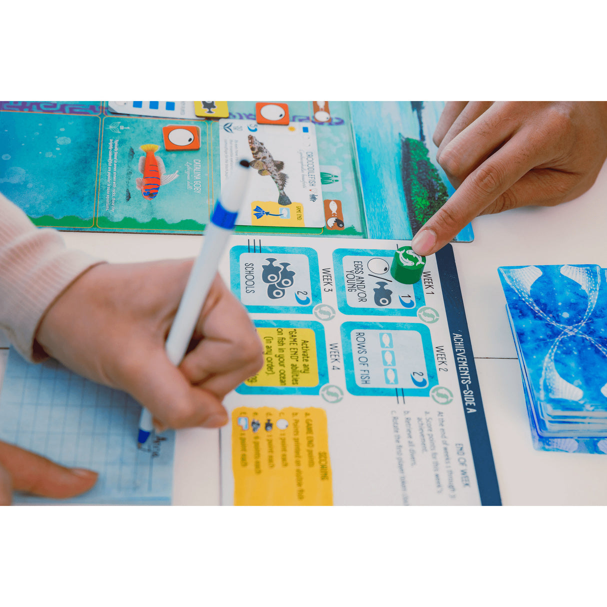 999Games 999 Games Finspan Brettspiel