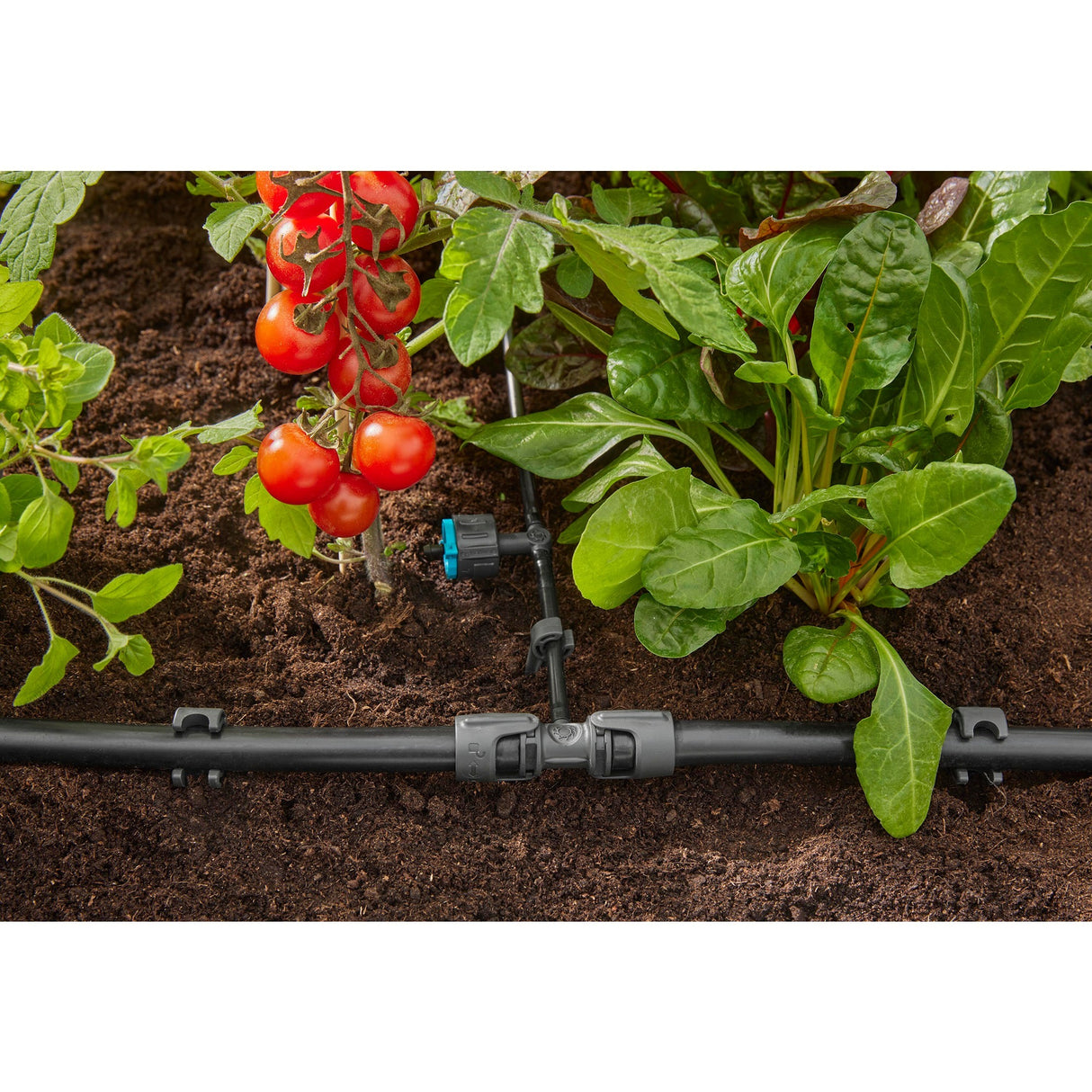 Gardena Verstellbarer Seried-Di-Buchel 1-8 l u, Druckkompass