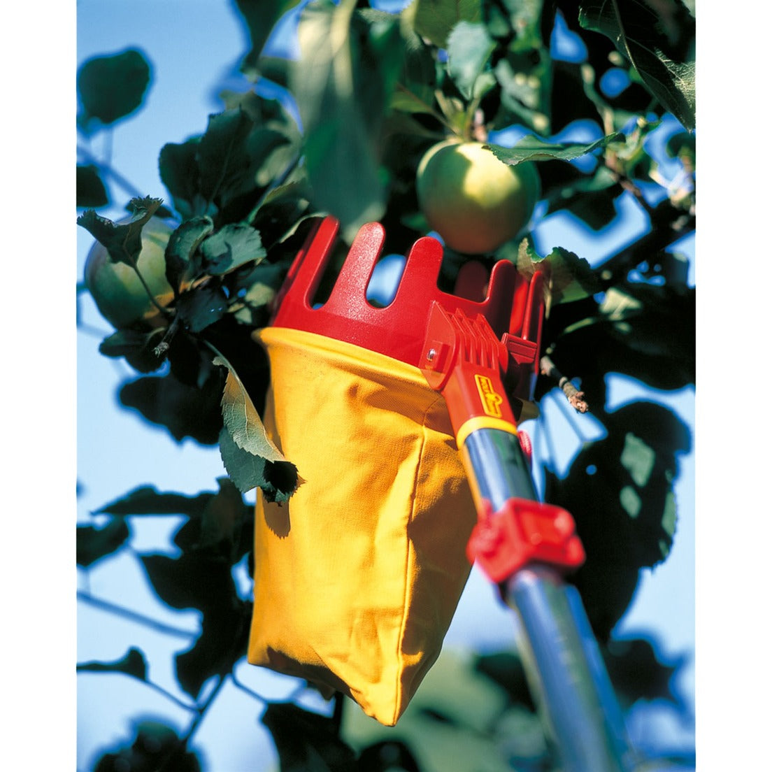 Wolf-Garten Wolf Multi-Star-Kombinationssystem 71aca008650 RG-M Obstpflücker
