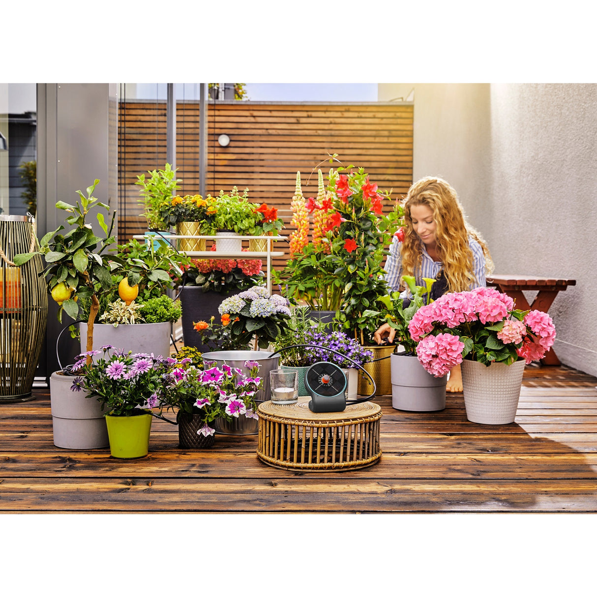 Gardena Gardena Holiday Beatering Set Aquabloom Set