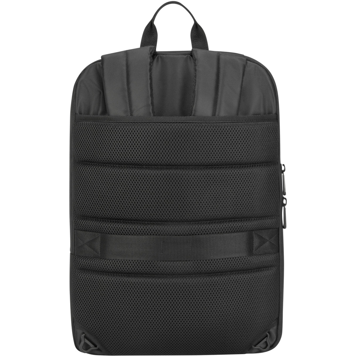 Targus CityGear Cabrio 14 15.6 Laptop -Rucksack