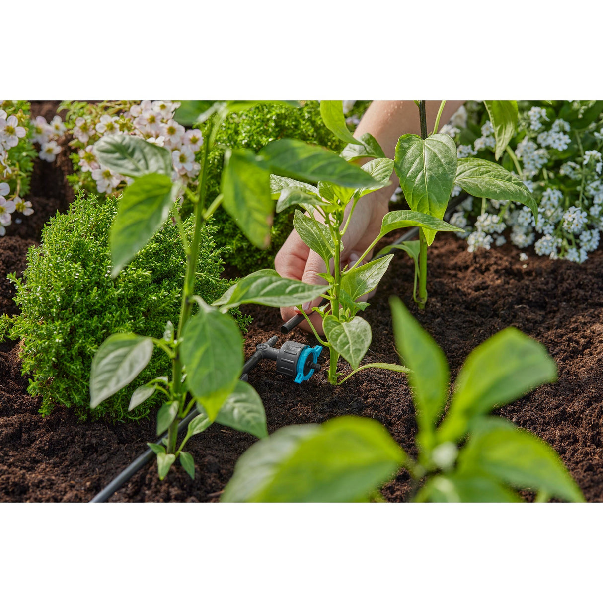 Gardena Verstellbarer Seried-Di-Buchel 1-8 l u, Druckkompass