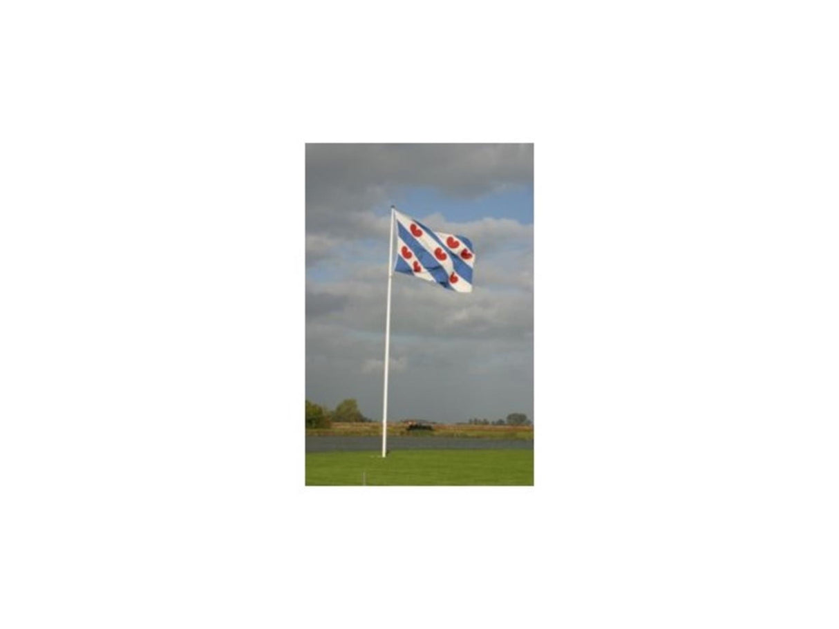 Dokkumer Flaggen Zentralflagge Friesland 20x30 cm