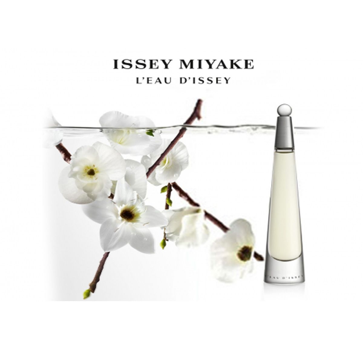 Issey Miyake Eau de Toilette Spray L'eau d'issey Femme 50 ml Damen
