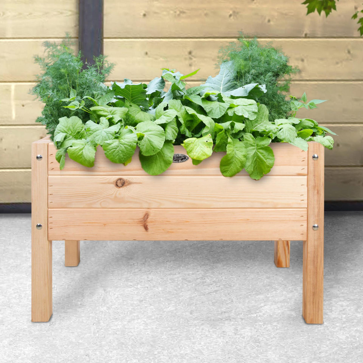 Esschert Design Kinder-Wachstisch aus Kiefernholz, 40,6 x 78,8 x 50 cm