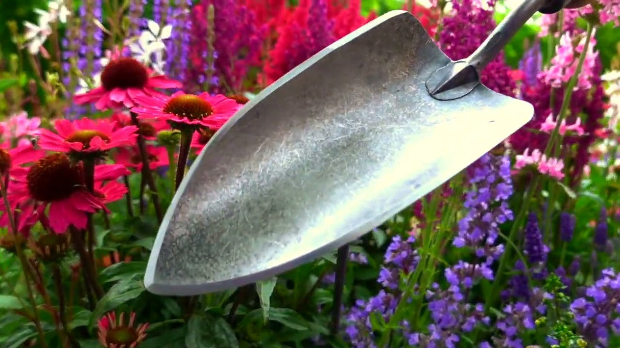 Die weißen Produkte Pflanzenschaufel x Treme Eschenstiel 14 cm stardewitstar