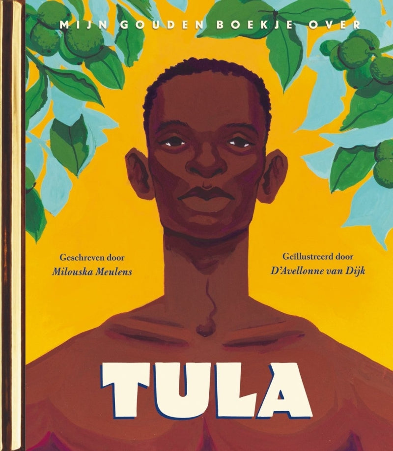 Rubinstein, mein goldenes Buch über Tula