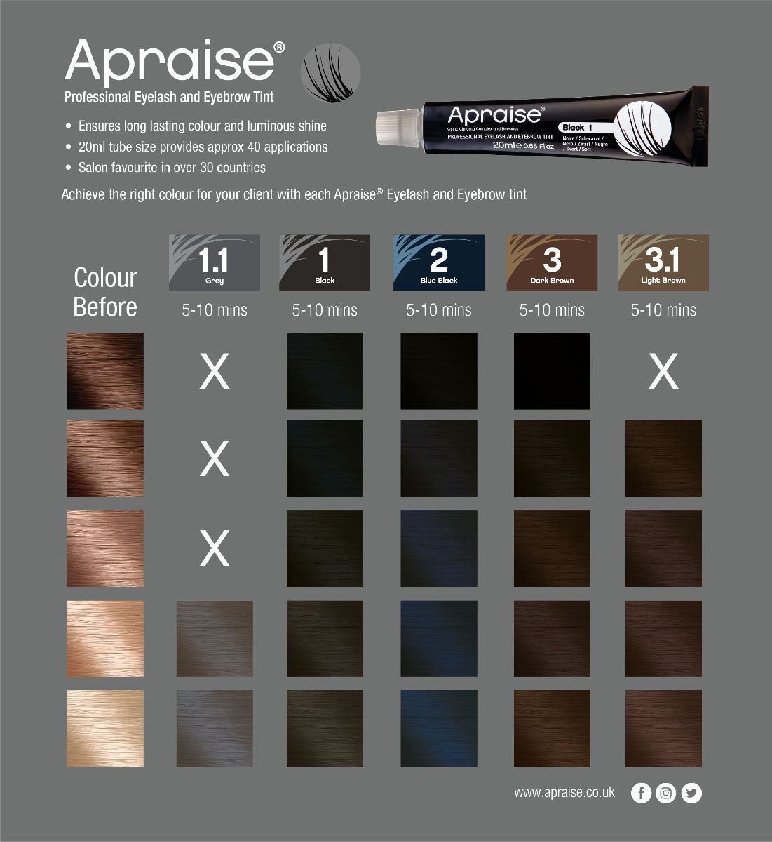 Apraise Wimpernfarbe grau Nr. 1.1