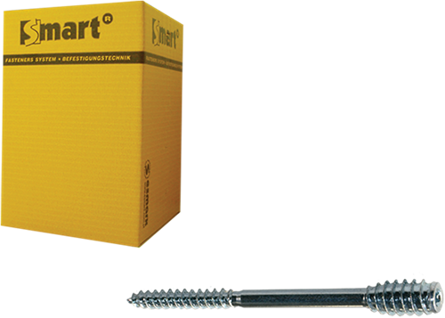 Pgb-europa smart | Distanzschraube T-Antrieb T25 ø 6x200 Zn | 50 Stück – sm0ssc0010602003
