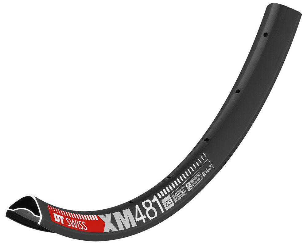 DT Swiss XM 481 Disc Felge 32 Loch