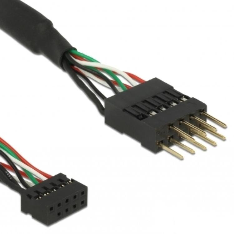 Delock Delock kb USB 2.0 bu10pin-st10pi bk 0,1m