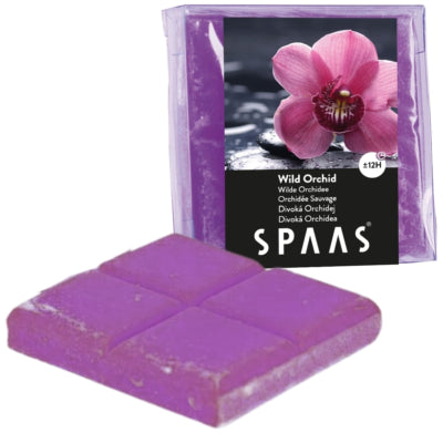 Spaas (r) Wachs schmilzt wilde Orchidee 6,5 cm | 24 Stück