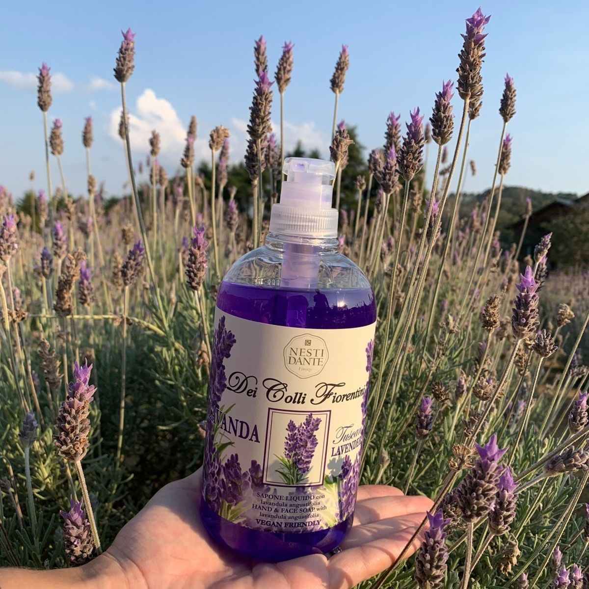 Nesti Dante Fiorentini Lavanda Seifenpumpe 500 ml