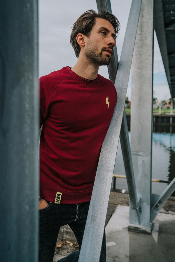 Zena sweater flash burgundy l