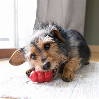 Kong Kong rot