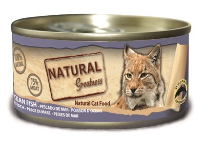 Natürliche Größe Kat Ozeanfisch