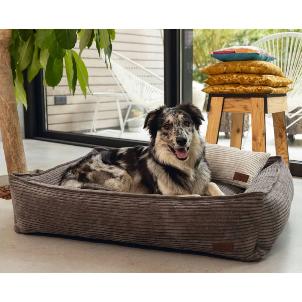Entworfen von Lotte, entworfen von Lotte Dog Basket, Rippen 65x60x20 cm Brown