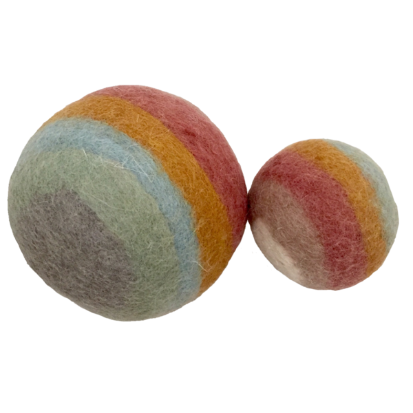 Papoose -Spielzeug Papoose -Spielzeug Erde Regenbogen 2pc