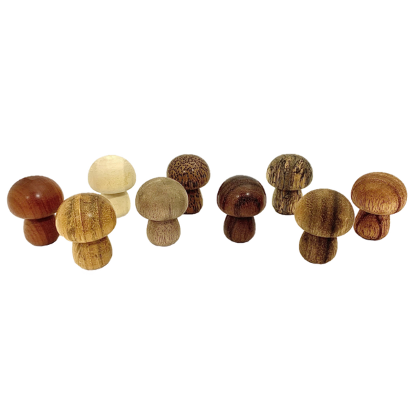 Papoose Toys Papoose Toys Mini WW Pilze 9pc