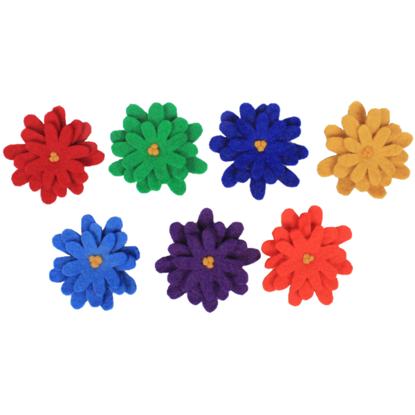 Papoose -Spielzeug Papoose -Spielzeug Regenbogen Astern 7pc