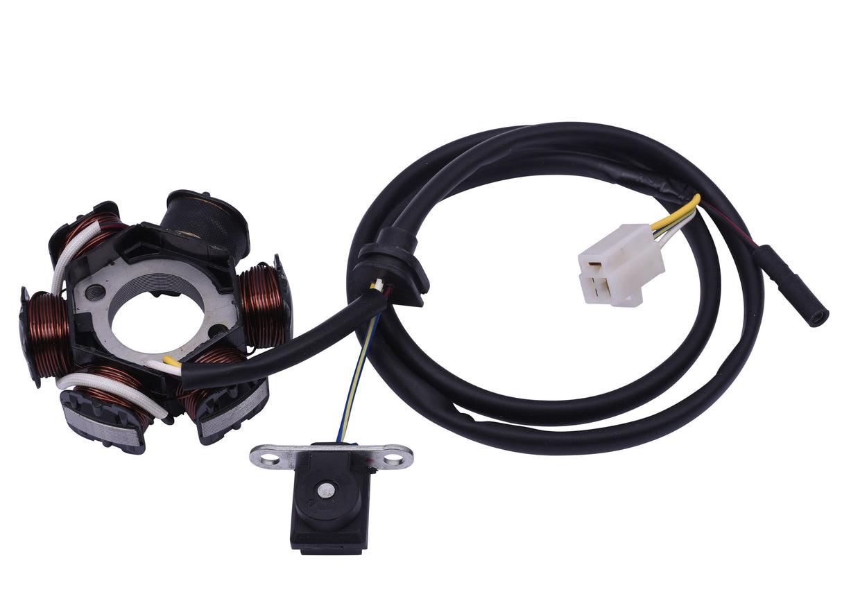 Verschiedene Stator | Honda - Kymco - Peugeot vertikal 2T