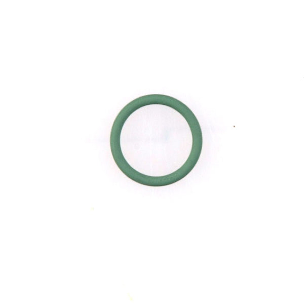 Gloria O-Ring 13