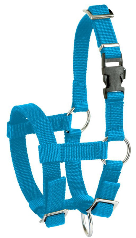 Produkte Alpaka-Halfter blau