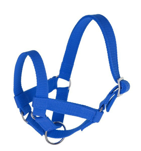 Produkte Lamahalfter blau gr 50