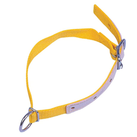 Produkte Ziegenschaf-Halsband aus Nylon