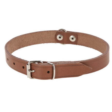 Producten hondenhalsband leer 10mm taupe
