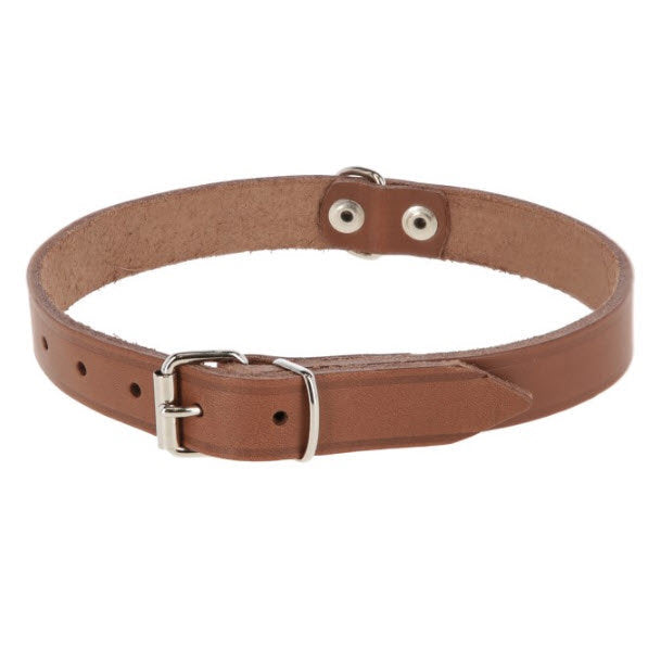 Produkte Hundehalsband Leder 12mm natur