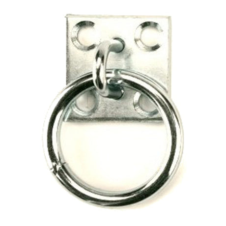 Producten muurplaat met ring 8mm rvs