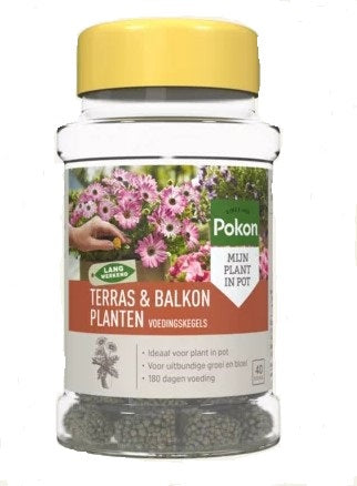 Pokon Produkte Terrassenbalkonpflanzen Nährkegel 40 Stk