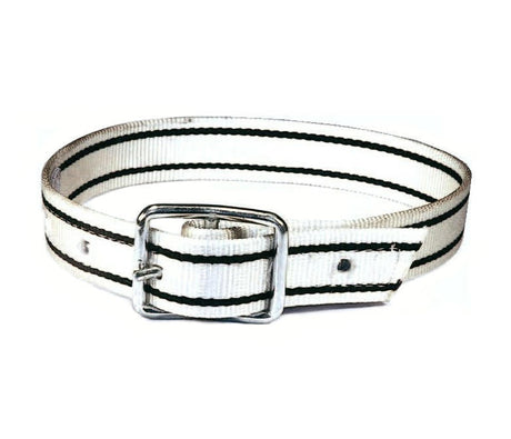 Producten zeugeband nylon 165cm tonggesp