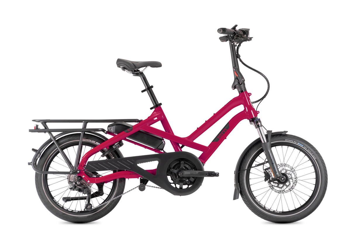 Tern Elektro-Kompaktfahrrad HSD P10 (#1) E-Bike HSD P10 10SP Drogonfruit