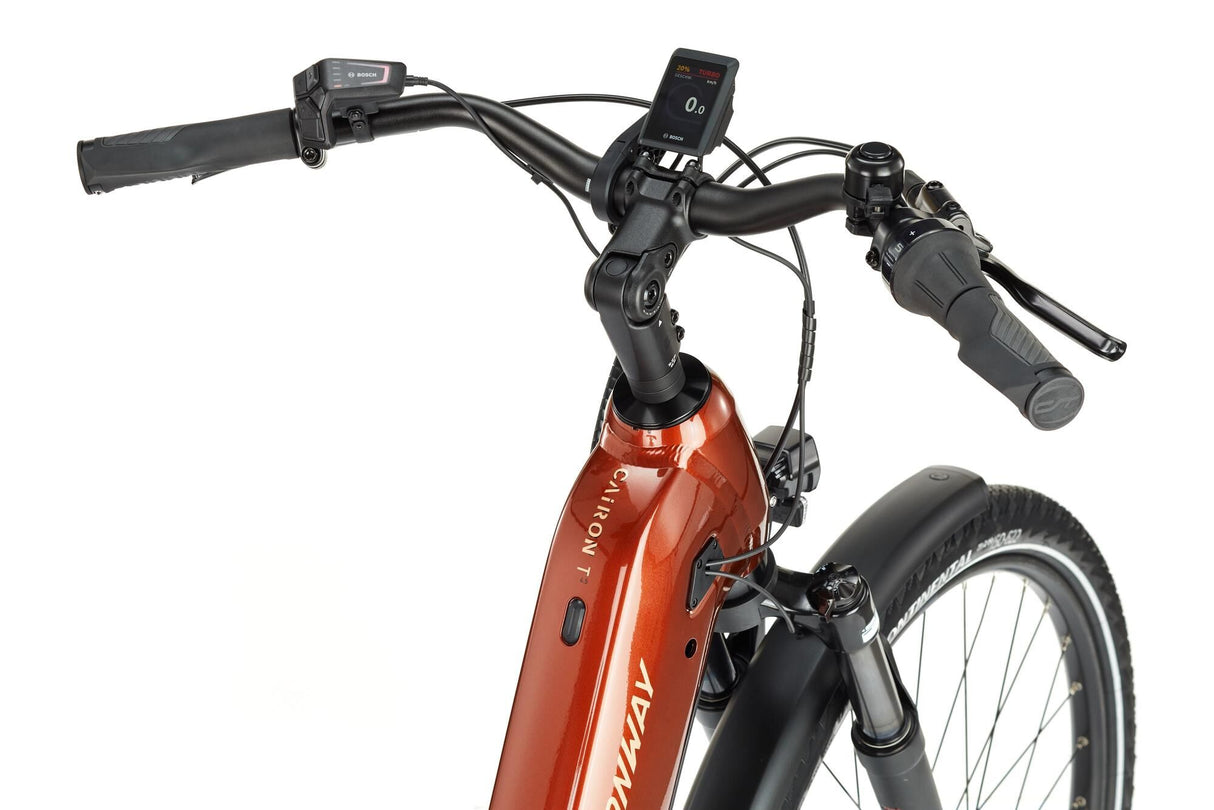 Conway Elektro-Trekkingrad Cairon T 4,5 (#1) E-Bike Conw.Cairon T 4,5 28 42 5Sp verrostet