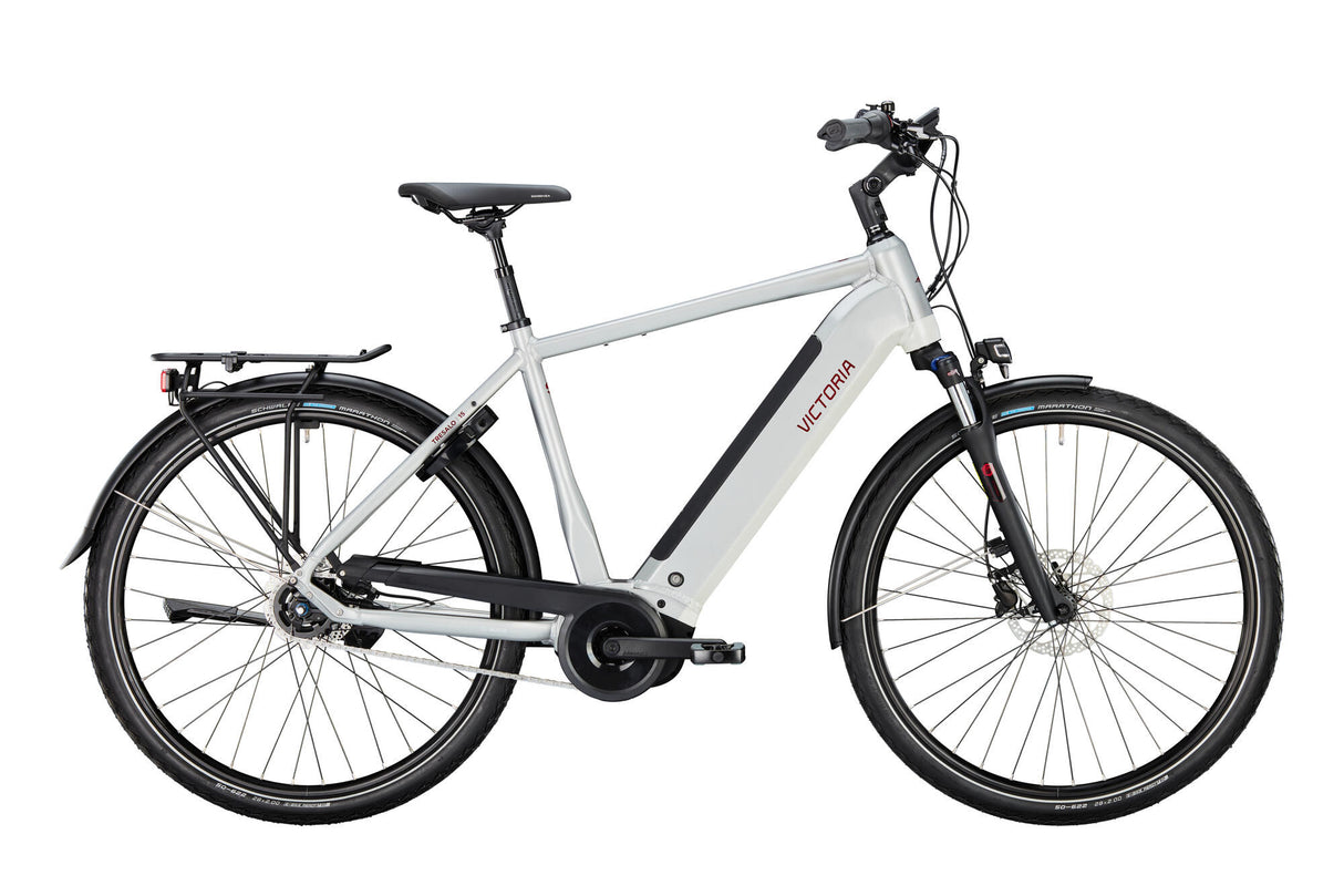 Victoria Elektro-Trekkingrad Tresalo 15 (#1) E-Bike Vict. Tresalo 15 28 55 5sp fh Silber