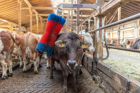 Produkte Happycow Viehbürste Freemaxi