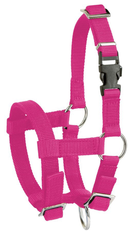 Produkte Alpaka-Halfter rosa